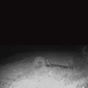 Meet your Posher, Derek